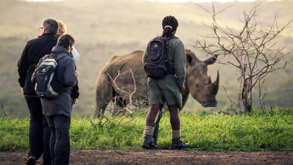 South africa walking safari rhino